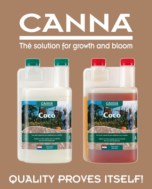 CANNA - coco - little box homepage_eng